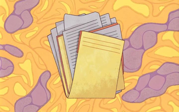 «Хороший кофе должен стоить разумных денег» — интервью с Филиппом Лейтесом